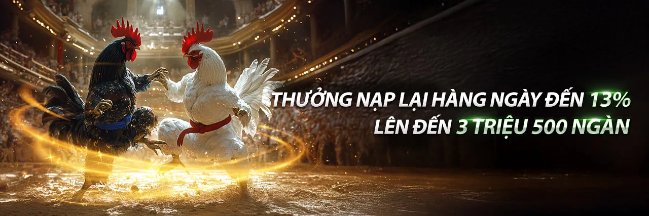 Đá gà Thomo trực tiếp 67 - Trận đấu kịch tính